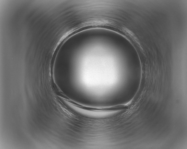 X0000056011226200509092103