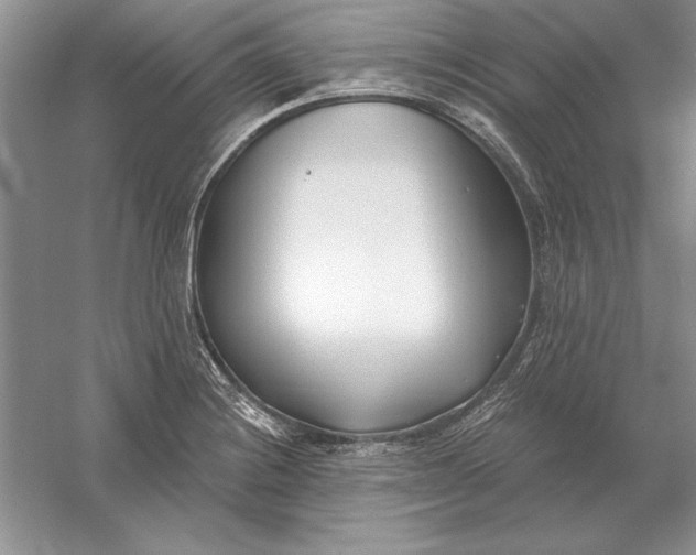 X0000056011228200509092103