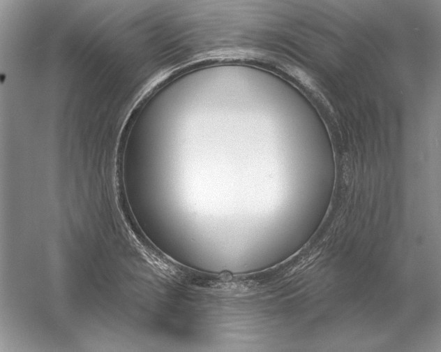 X0000056011229200509092103
