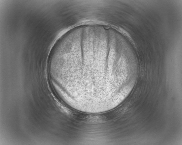 X0000056011231200509092103