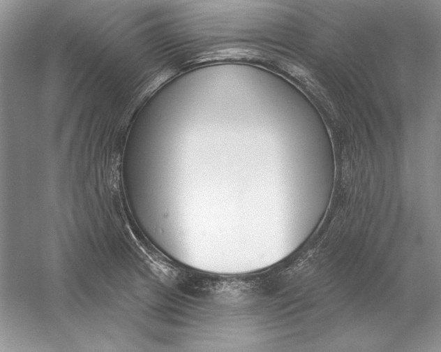 X0000056011233200509092103