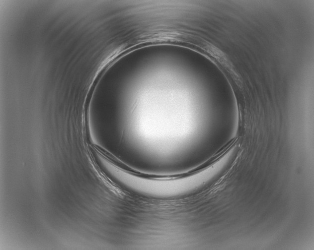 X0000056011234200509092103