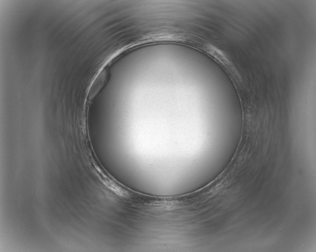 X0000056011236200509092103