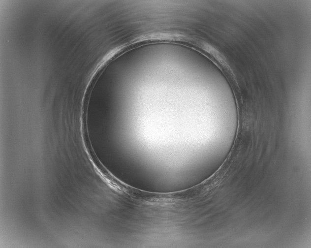 X0000056011237200509092103