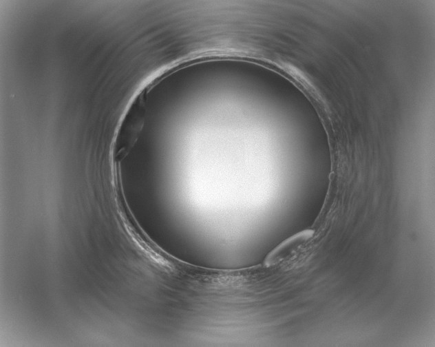 X0000056011238200509092103