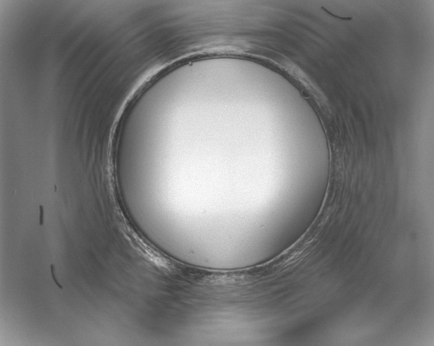 X0000056011240200509092103