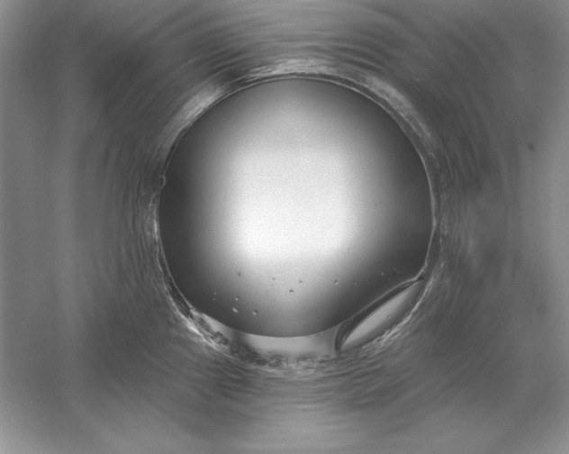X0000056011241200509092103