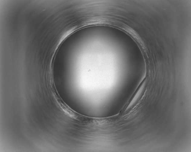 X0000056011242200509092103