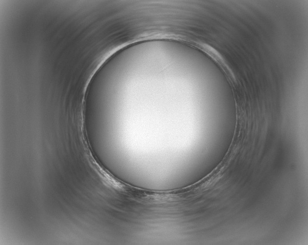 X0000056011244200509092103