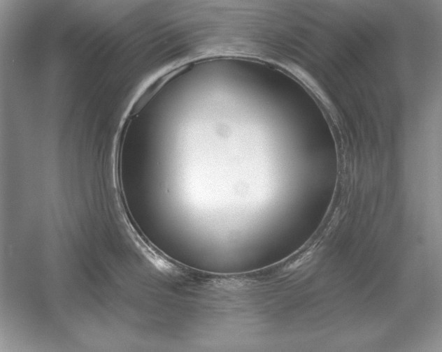 X0000056011246200509092104