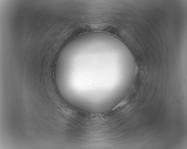X0000056011249200509092103
