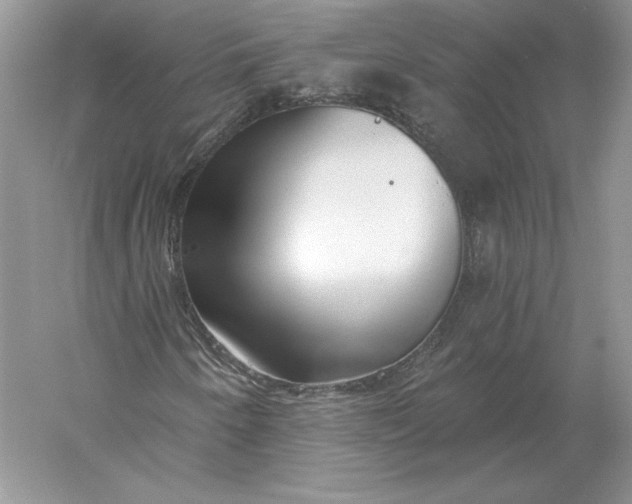 X0000056011250200509092103