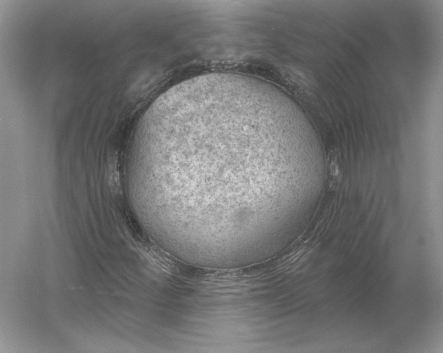 X0000056011252200509092103
