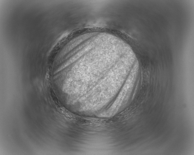 X0000056011254200509092103