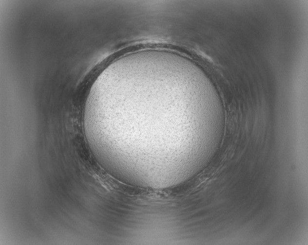 X0000056011255200509092103