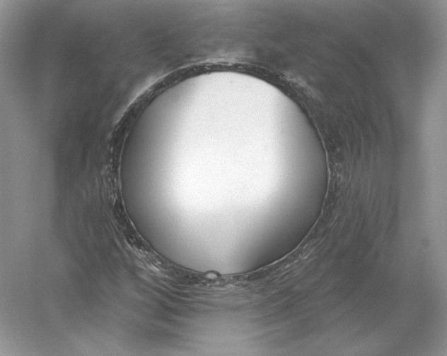 X0000056011256200509092103