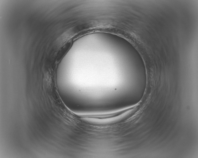 X0000056011257200509092103