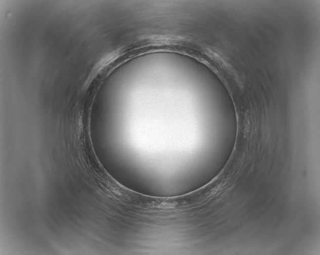 X0000056011261200509092103
