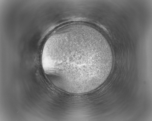 X0000056011263200509092102