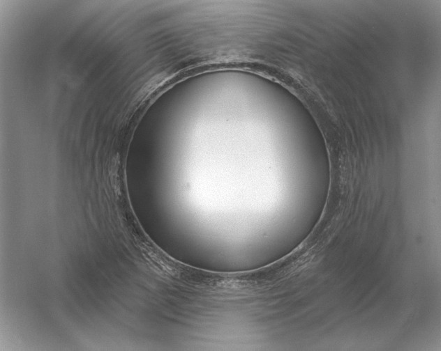 X0000056011265200509092102