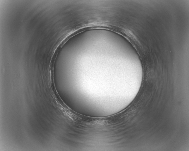 X0000056011268200509092102