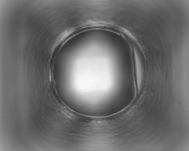 X0000056011269200509092102