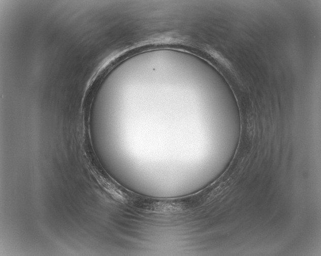 X0000056011270200509092102
