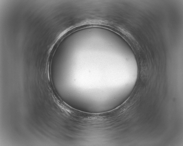 X0000056011272200509092102