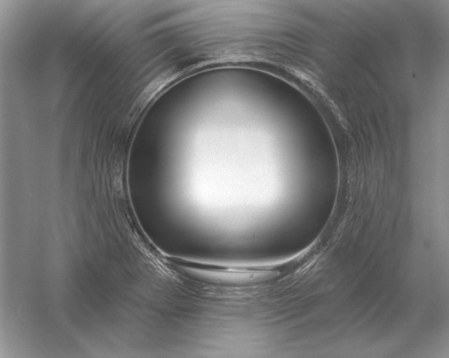 X0000056011273200509092102