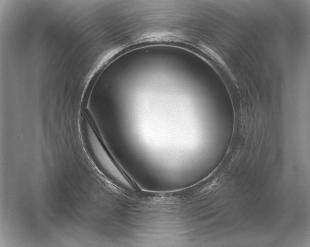 X0000056011277200509092102
