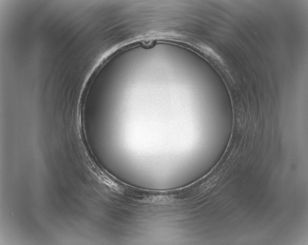 X0000056011280200509092102