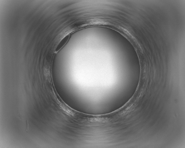 X0000056011281200509092102