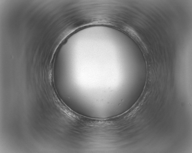 X0000056011284200509092102