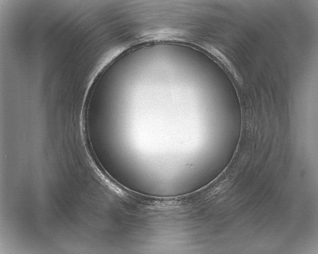 X0000056011285200509092102