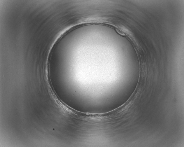 X0000056011288200509092102