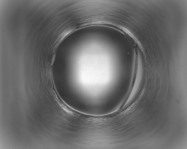 X0000056011289200509092102