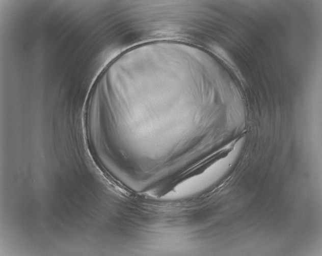 X0000056011291200509092102