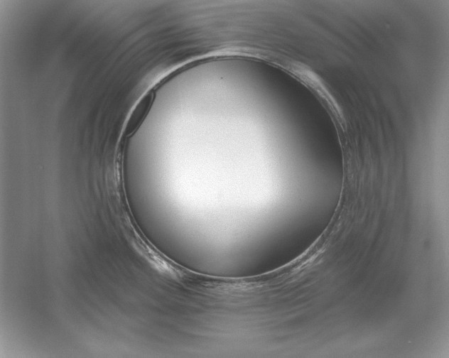 X0000056011292200509092102