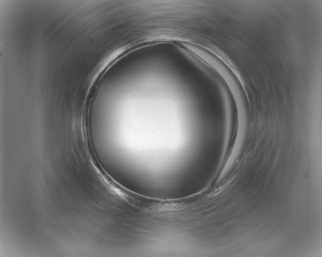 X0000056011293200509092102