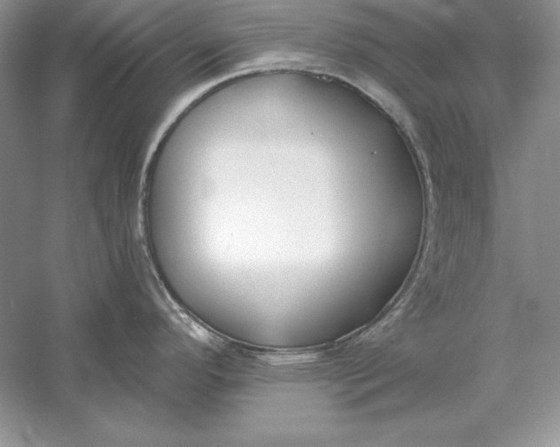 X0000056011296200509092102
