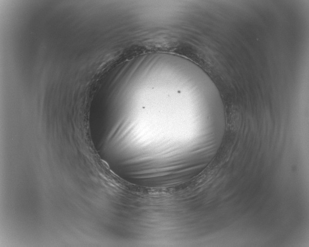 X0000056011297200509092101