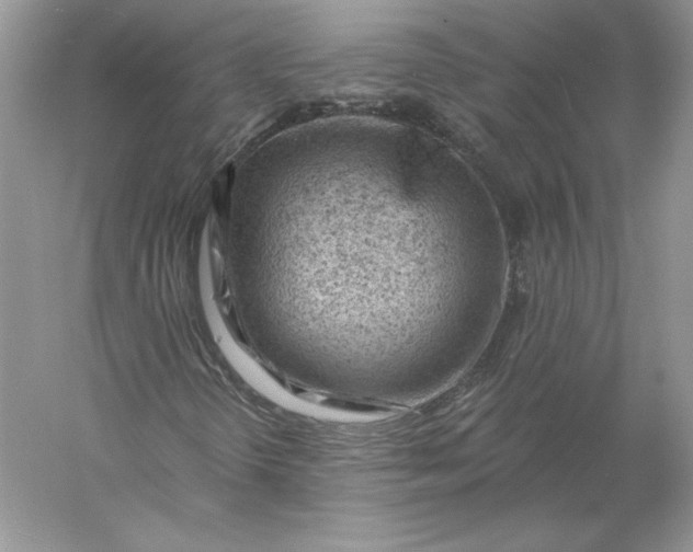 X0000056011298200509092101