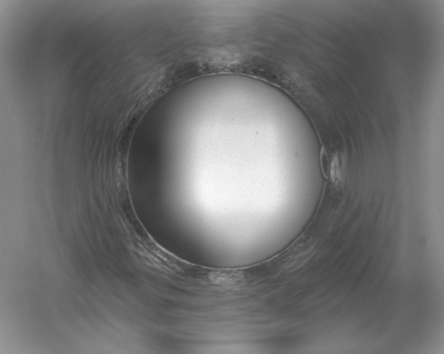 X0000056011299200509092101