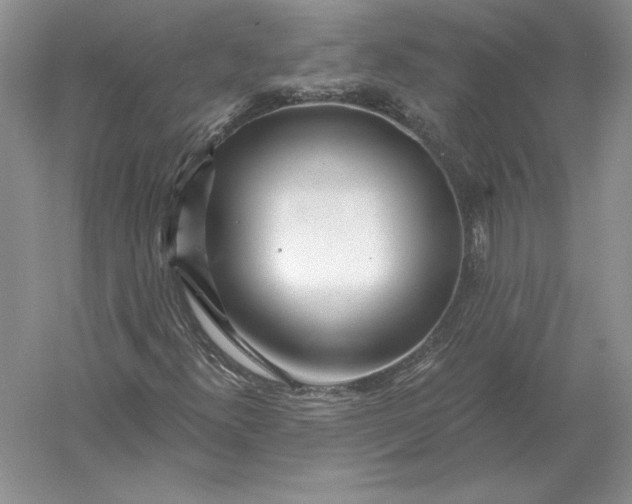 X0000056011300200509092101