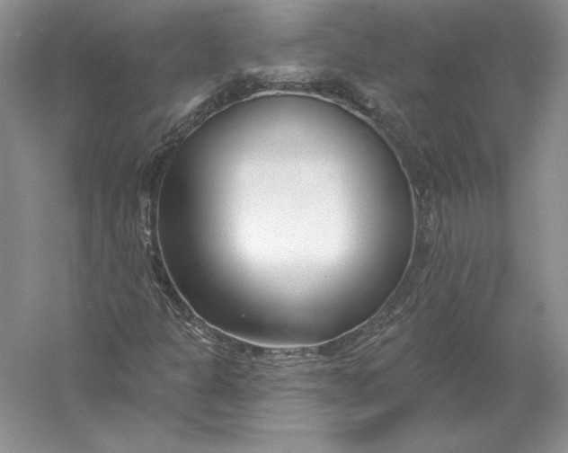 X0000056011301200509092101