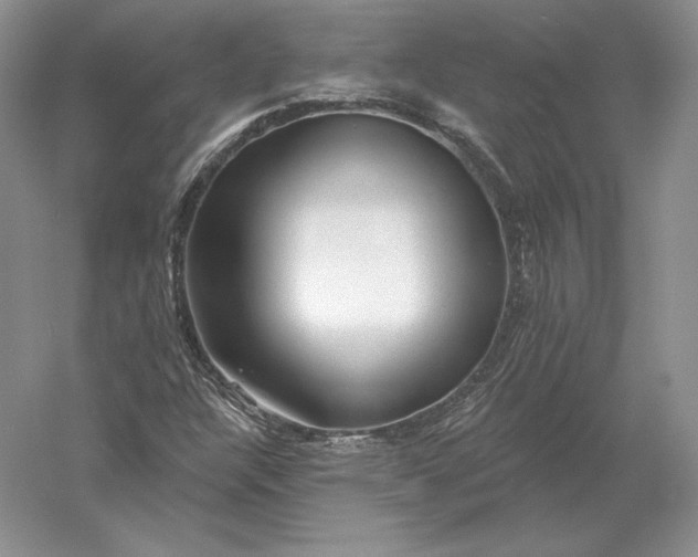 X0000056011304200509092101