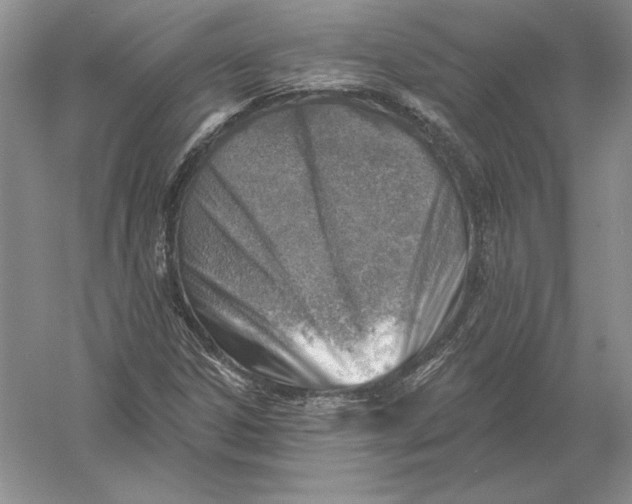X0000056011306200509092101