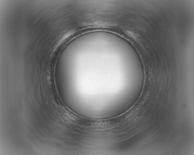 X0000056011307200509092101