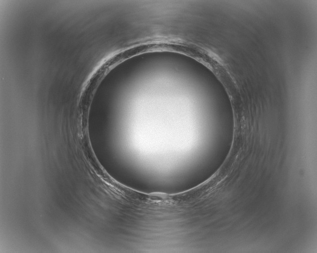 X0000056011310200509092101