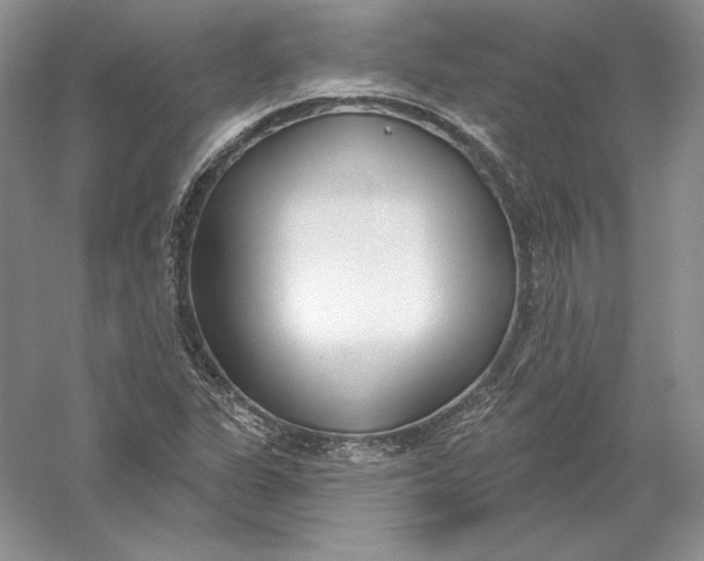 X0000056011311200509092101